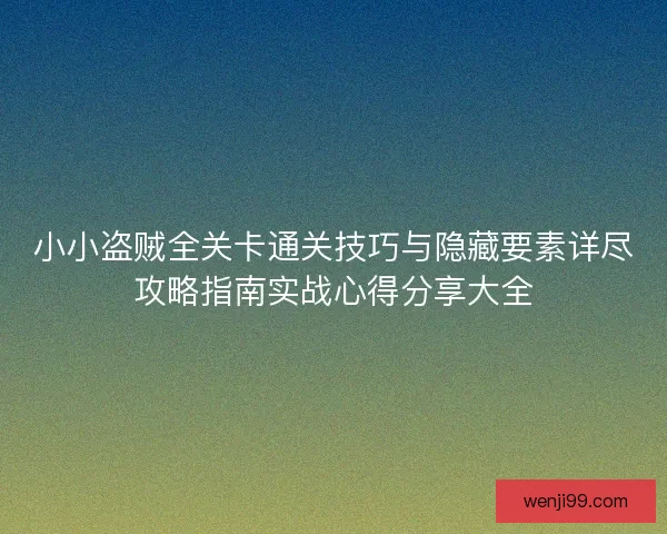 小小盗贼全关卡通关技巧与隐藏要素详尽攻略指南实战心得分享大全